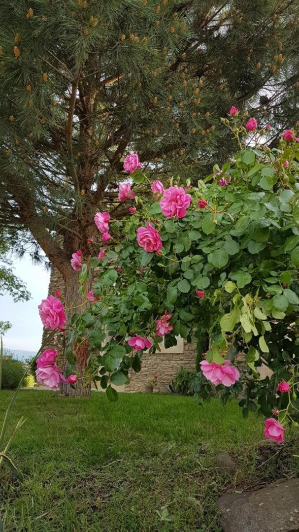 Saint-Joseph  Relais De Navon B&B 외부 사진